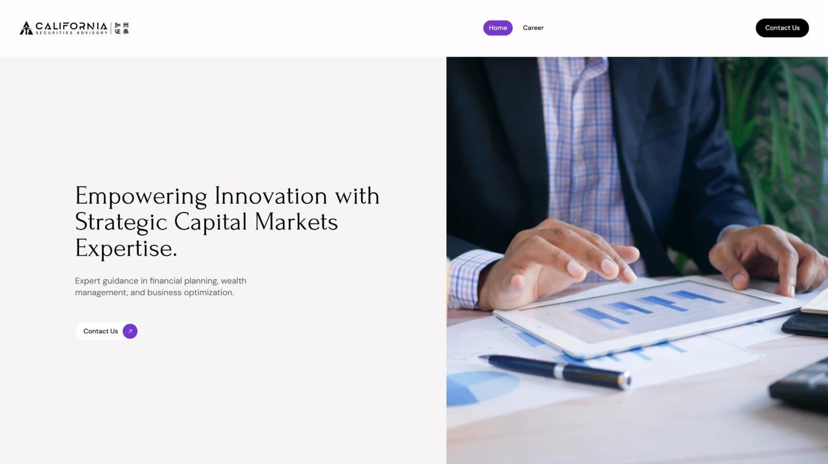 Website & Visual Identity